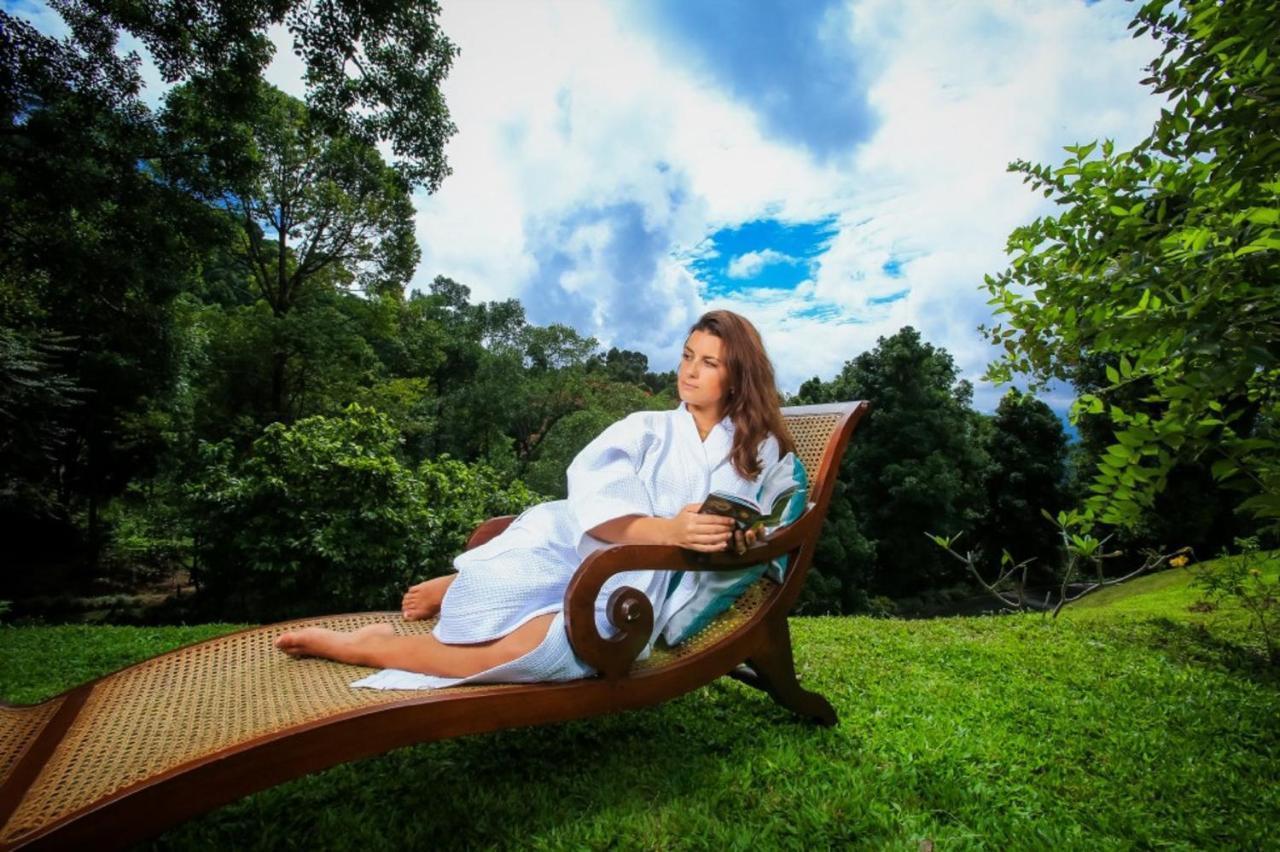 Simpson'S Forest - Luxury Boutique Resort & Spa - 康提 外观 照片